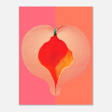 359eabd1-a3ee-48e9-b625-83a8743c9754